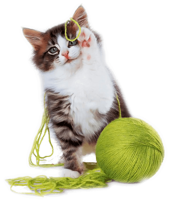 img_2.png img_2.png